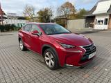 Lexus NX 300 300h E-FOUR Luxury Line Luxury Line - Lexus NX 300: H