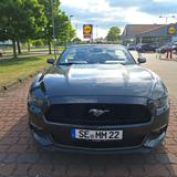 Ford Mustang 2.3 EcoBoost Auto - - mit Benzin-Antrieb: Grün, Cabrio