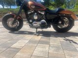 Harley-Davidson Sportster XL1200Custom - HARLEY-DAVIDSON 2008 SPORTSTER 1200
