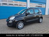 Fiat Panda My Pand.Klimaanlage.100TKM. - Fiat in Aachen