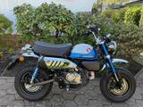 Honda Monkey 125 - top Zustand - wenig Kilometer - HONDA MONKEY 125