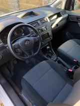 Volkswagen Caddy Maxi Kasten - Ausbau - Solar - Camper  - Volkswagen: Kleinbus, Ausbau