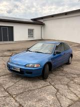 Honda Civic EG3 College - Honda Civic: Eg
