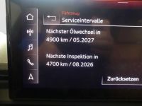 Audi SQ5 - Vorschau Bild 8