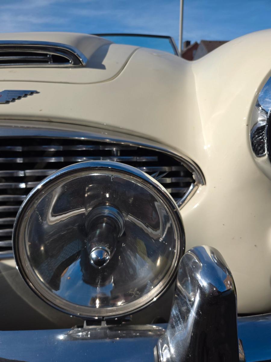 Austin Healey Andere