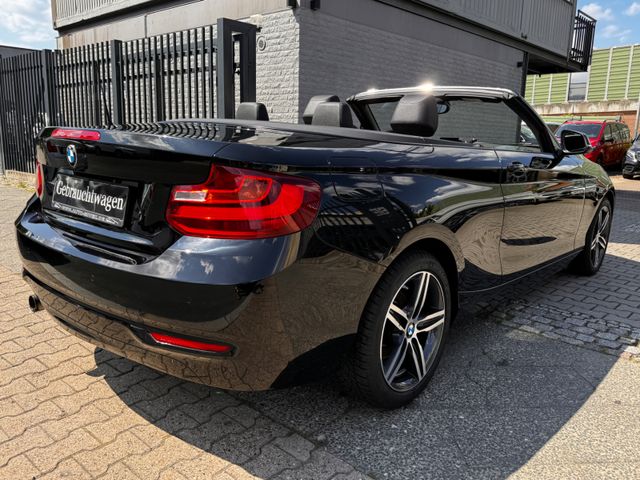 BMW 218i Cabrio Autom.LEDER LED NAVI