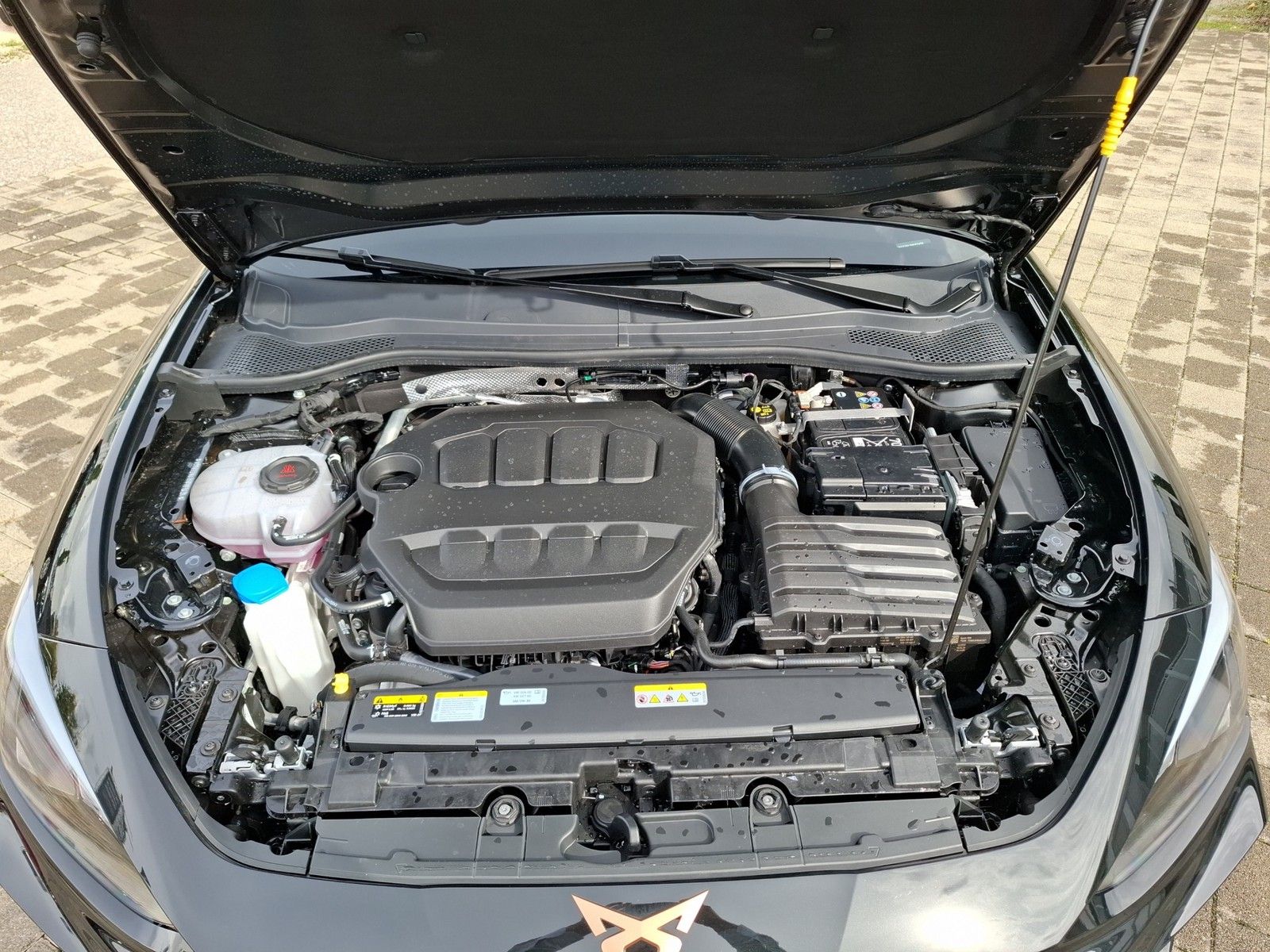 CUPRA Leon VZ 2.0 TSI 4Drive DSG / ACC / AHK/ MATRIX / - Image 17