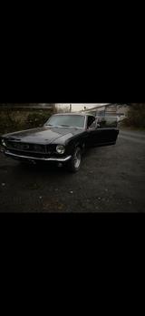 Ford Mustang - gebrauchte Ford Mustang aus dem Jahr 1966