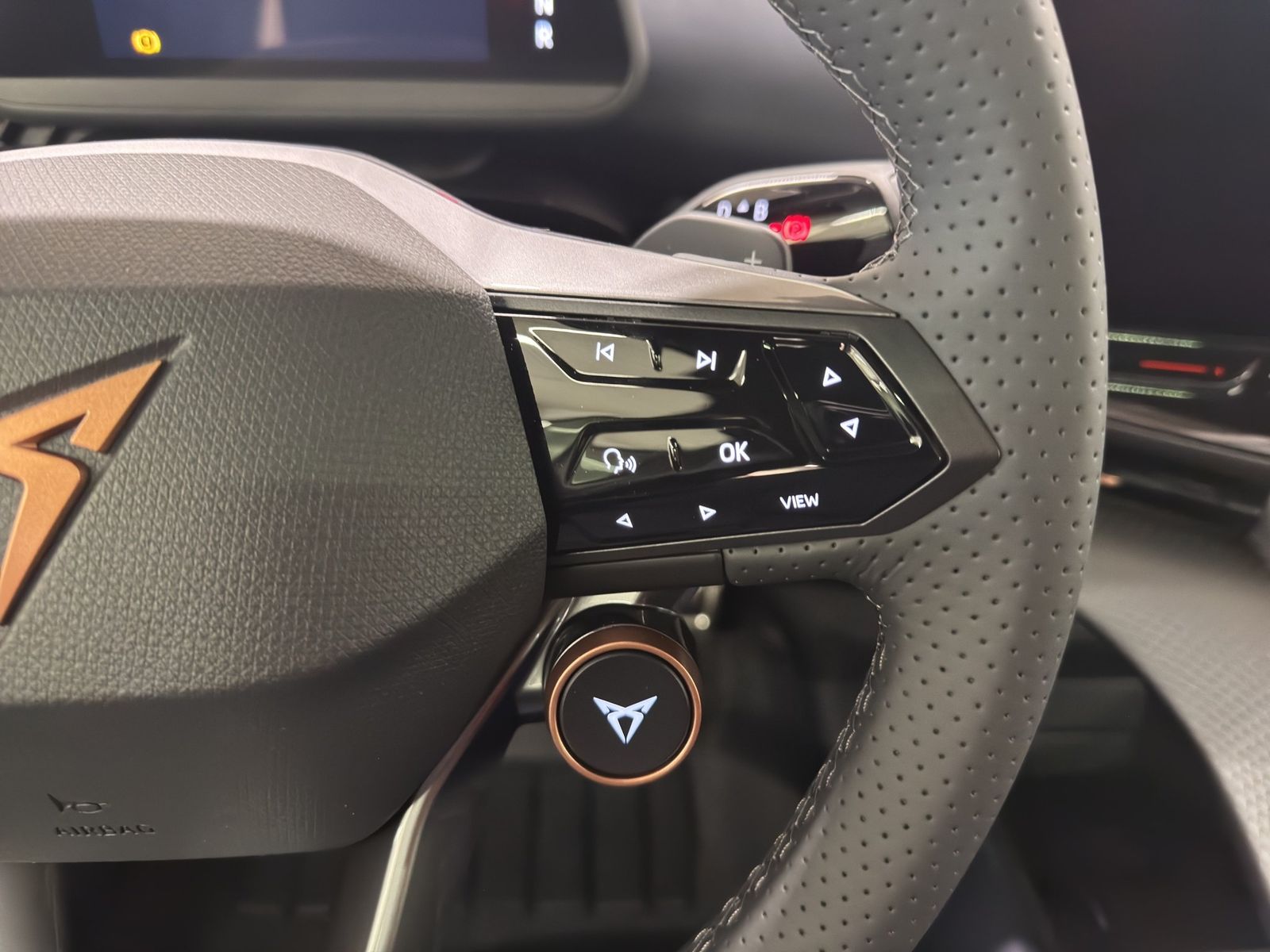 Cupra Tavascan - Bild 17