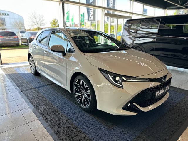 Toyota Corolla  Team D