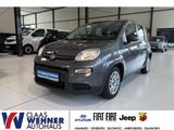 Fiat Panda Base *Bluetooth *Klimaanlage - Fiat Panda Gebrauchtwagen in Hamburg