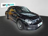 Volkswagen Beetle Design 1.4 TSI DSG Navi, Bi-Xenon - Volkswagen Beetle in Hannover