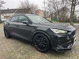 Cupra Formentor VZ 4Drive, 1.Hd, Voll-Leder - Cupra Formentor: 1.4