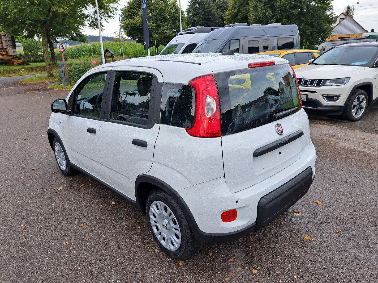 Fahrzeugabbildung Fiat Panda Pandina Cross / Virtual Cockpit