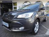 Ford Kuga Trend, Navi, Panoramadach - Ford Kuga: Panoramadach