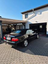 Mercedes-Benz MB clk 430 - Mercedes-Benz CLK 430