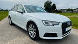 Audi A4 2.0 TDI Quattro S-Tronic AHK STHZ PANO ViCo - Audi A4 mit Diesel-Antrieb: Weiß, Kombi