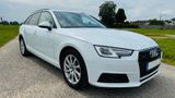 Audi A4 2.0 TDI Quattro S-Tronic AHK STHZ PANO ViCo - Audi A4 mit Diesel-Antrieb: Standheizung