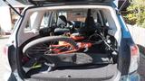 Subaru Forester 2.0X Active Automatik Active - Subaru mit LPG-Antrieb