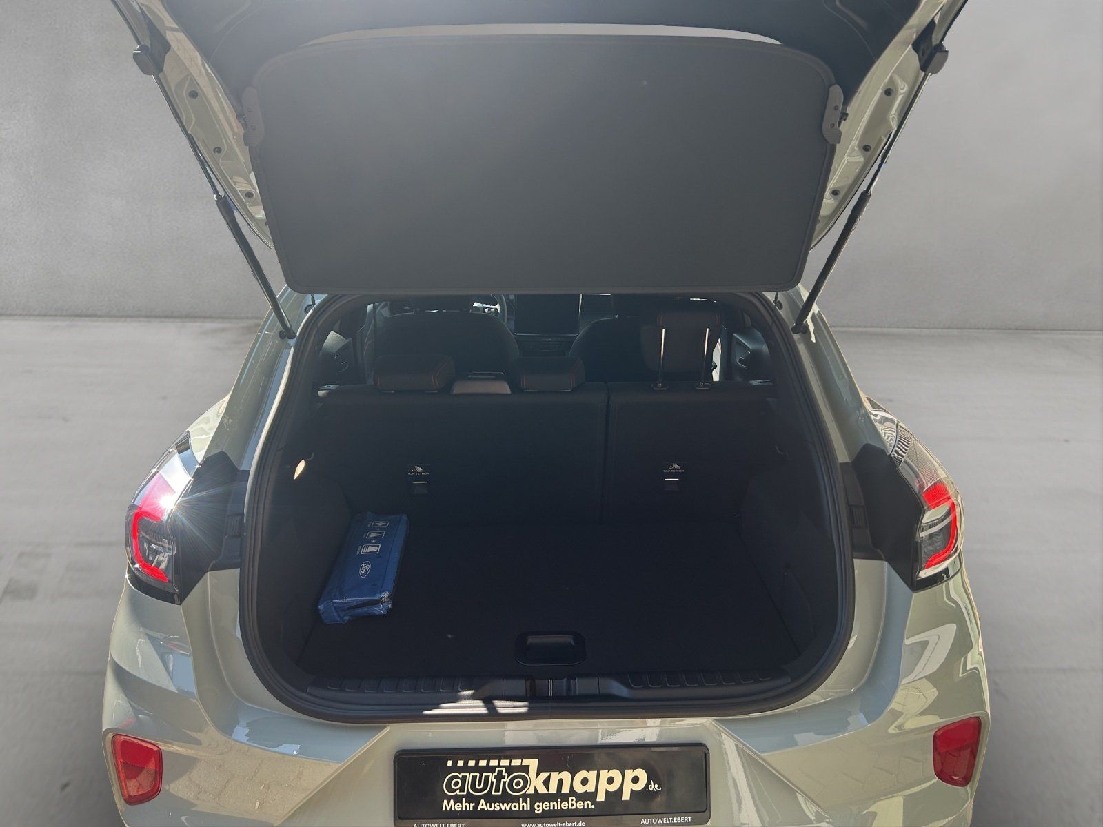 Fahrzeugabbildung Ford Puma ST Line,FGS 3.-5 Jahr bis 100 000KM