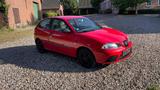 Seat Ibiza 1.2 6V Amaro Scheckheft TÜV NEU - gebrauchte Seat Ibiza aus dem Jahr 2008