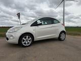 Ford Ka 1,3 Diesel - Ford Transit: Kleinwagen