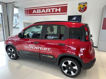 Bild 6 Fiat Panda Pandina Cross