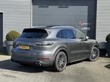 Porsche Cayenne 2.9 S Platinum Edition | panorama dach | - Porsche Cayenne S-Platinum-Edition
