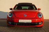 Volkswagen New Beetle 1.4 TSI Design 1.Hand PANORAMA - Volkswagen Beetle: Rot