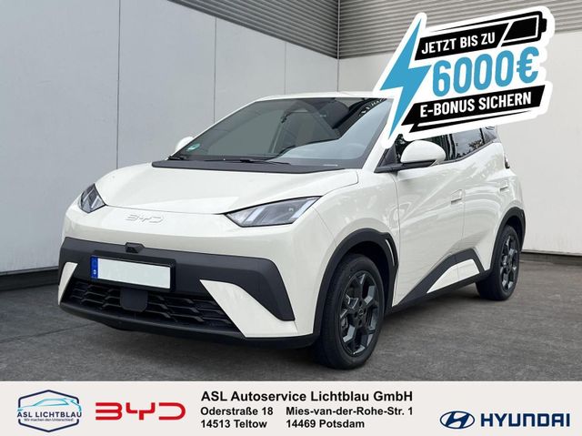 BYD DOLPHIN SURF