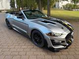 Ford Mustang Cabrio Shelby GT 500 Body Kit - Ford Mustang: Cabrio, Shelby Gt500