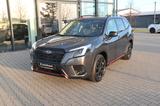 Subaru Forester 2.0ie EDITION EXCLUSIVE CROSS *Aktion* - Subaru Forester Edition mit Benzin-Antrieb