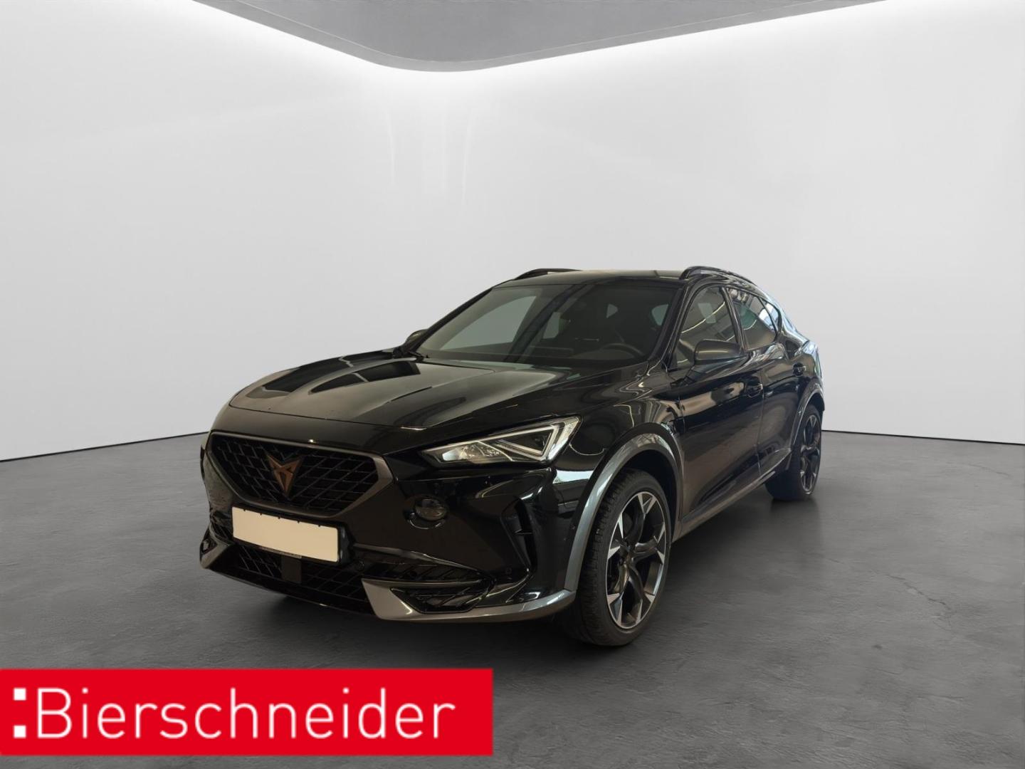 Cupra Formentor 2.0 TSI DSG 4Drive VZ LED NAVI ACC, миниатюра 2