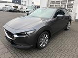 Mazda CX-30 Selection 2WD Mild Hybrid - gebrauchte Mazda CX-3 aus dem Jahr 2022