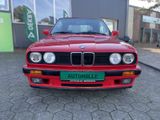 BMW 318i Cabrio E30 Edition Exclusive 1a ZUSTAND wie - BMW 318: E30 318i