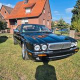 Jaguar Daimler Super8 Lang X30 XJ8 XJR Sup... - Jaguar Daimler in Hannover
