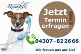 Volkswagen Crafter 35 Kasten Hoch+AHK+Navi+Kamera+130kw TOP - Volkswagen Crafter in Kiel