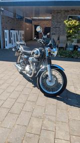 Kawasaki W800 Special Edition A2 Traum - KAWASAKI W800