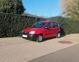 Fiat 1 Hand Fiat Panda TÜV 05/2027 Scheckheftge... - Fiat Panda in Magdeburg
