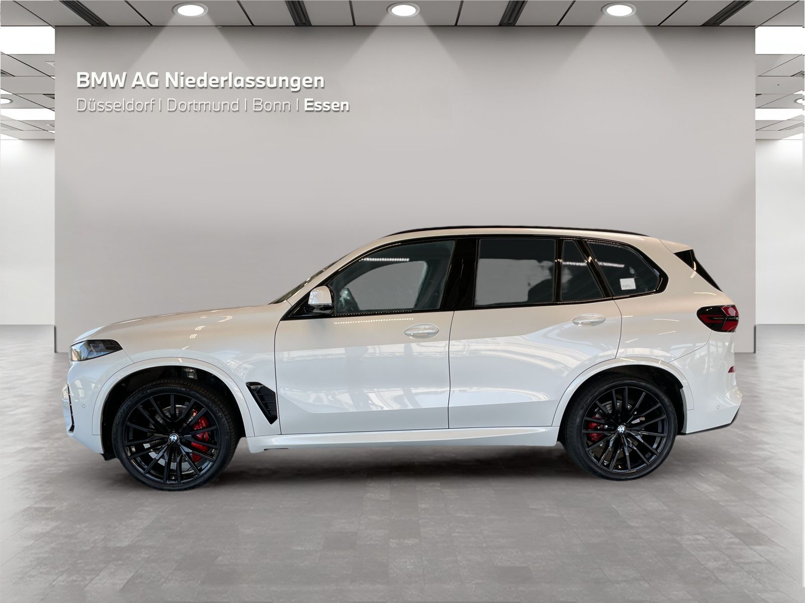 BMW X5 xDrive40d M Sport AHK Driv.Assist.Prof LED foto 3