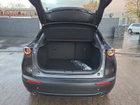 Mazda CX-30 - Vorschau Bild 13