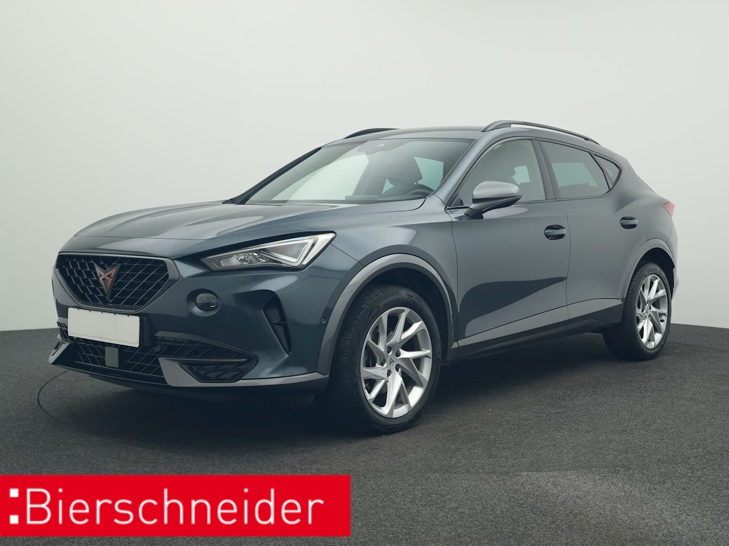 Cupra Formentor 2.0 TDI DSG 4Dr. AHK KEYLESS eHECK NAV