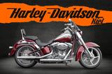 Harley-Davidson CVO SOFTAIL CONVERTIBLE FLSTSE2 110 - AMC  - - HARLEY-DAVIDSON FLST