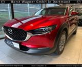 Mazda CX-30 2025 Exclusive-Line 186 PS *Navi*Kamera* - Mazda CX-30: Exclusive Line