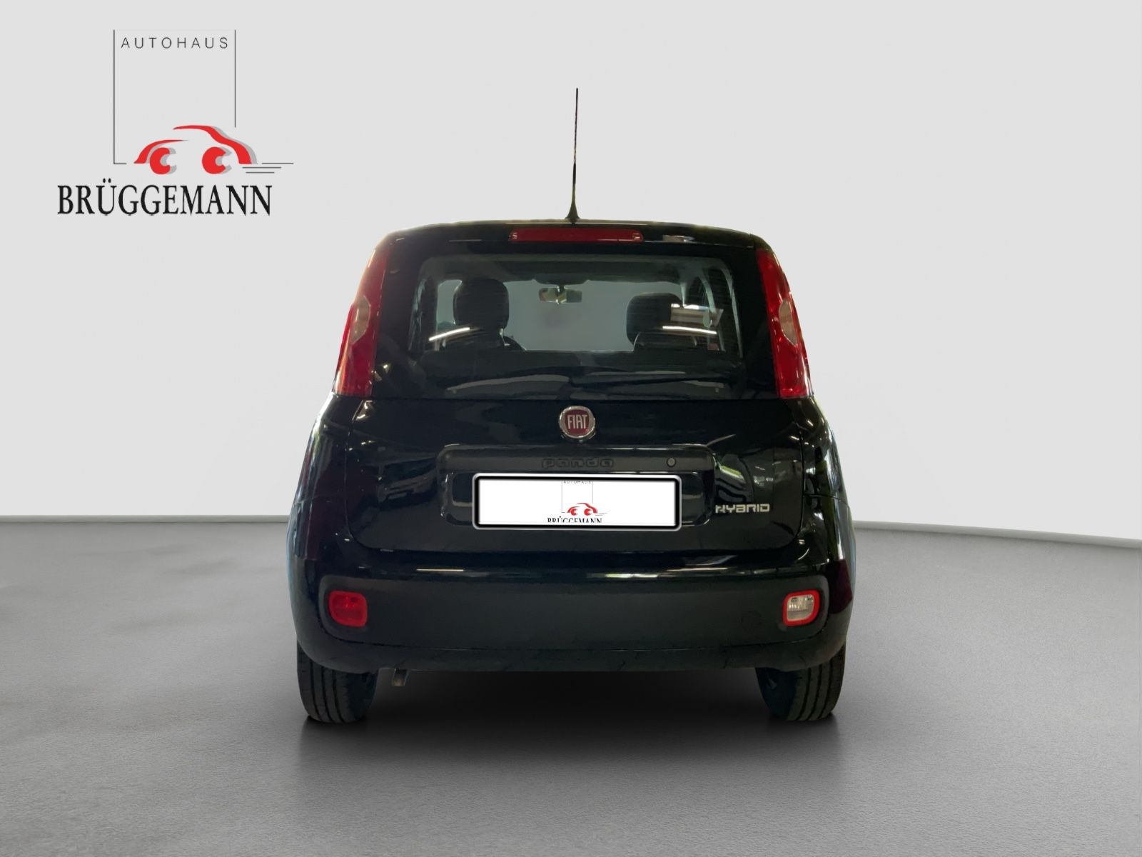 Fahrzeugabbildung Fiat Panda 1.0 Hybrid