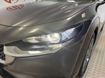 Mazda CX-30 Selection 2WD AHK Bose HeadUp Kamera
