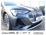 Audi e-tron 55 quattro 300KW S line AHK/LED/PDC - graue Audi e-tron