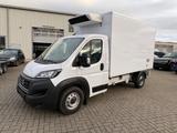 Fiat Ducato Maxi Kühlkoffer-Fahrt&Standkühlung - Angebote