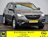 Opel Grandland X Edition AHK Navi Kamera Klima Sitzh - Opel Grandland (X) Edition mit Benzin-Antrieb