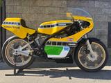 Yamaha TZ 250 1978 Replica Kenny Roberts - Angebote